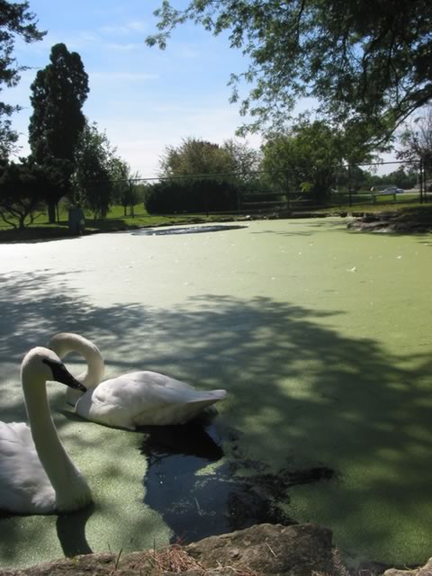 0106_clinton_cemetery